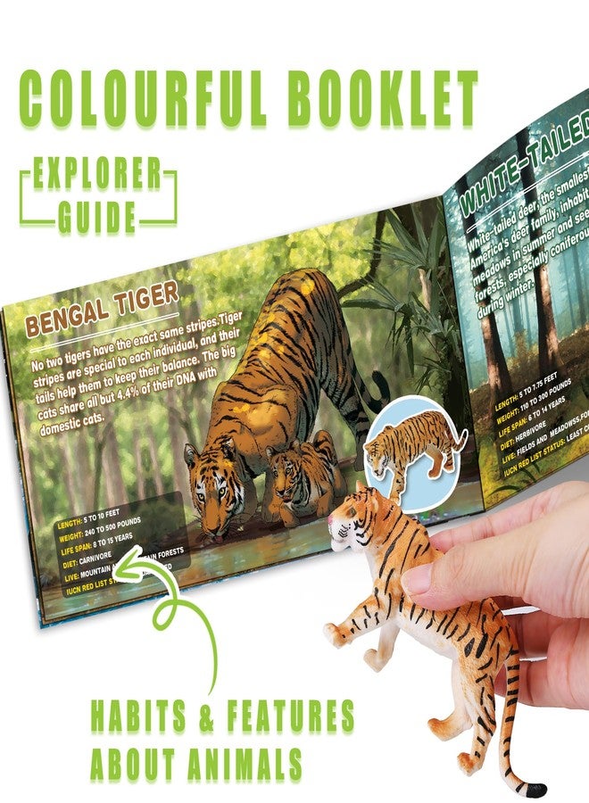 KarberDark 13 Pack Wild Animal Toys with Educational Booklet and Gift Box, Realistic Safari Animals Figures for Kids, Plastic Zoo Animals Figurines for Toddler Ages 1-3, Jungle Birthday Party Favor for Boy Girl - Image 5